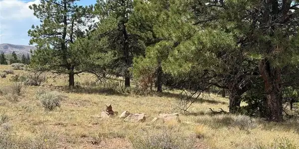 Image 4 Image 4