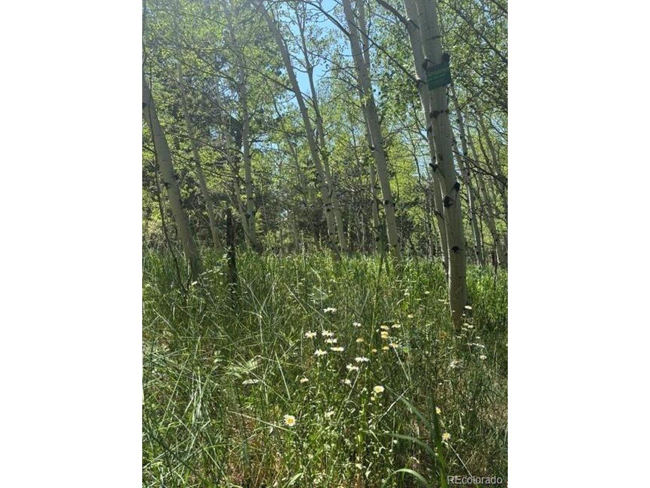 Image 3 Image 3