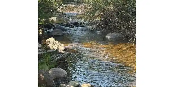 Image 4 Image 4