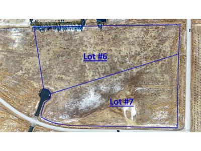 Lot 6 Wrangle
