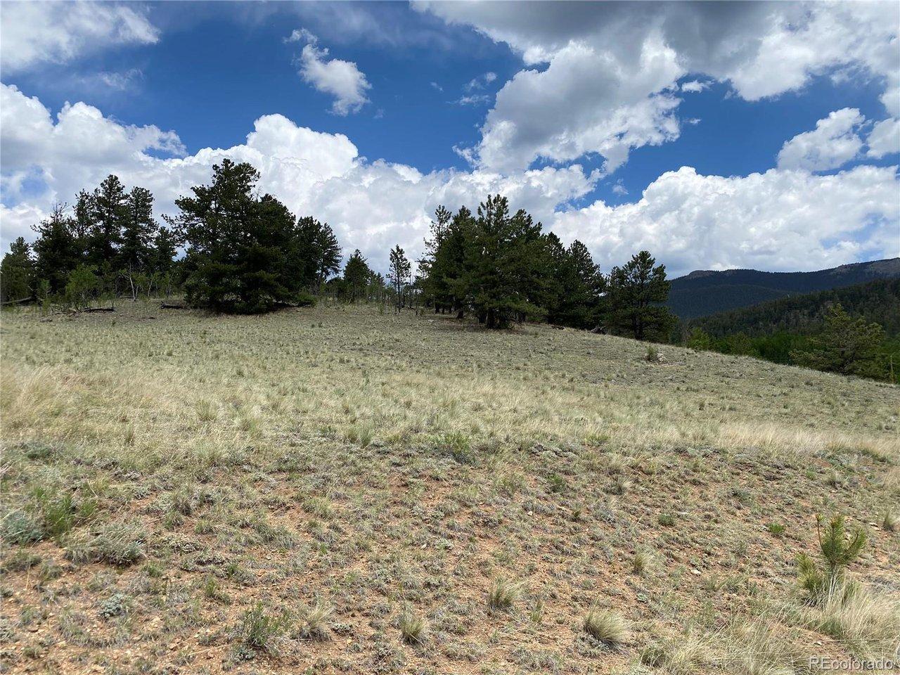 Image 3: Gentle slope up, view from the street looking up Image 3: Gentle slope up, view from the street looking up