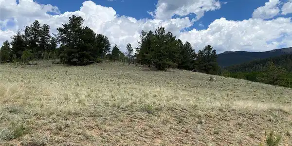 Image 3: Gentle slope up, view from the street looking up Image 3: Gentle slope up, view from the street looking up