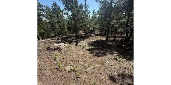 11548 Overlook Dr
