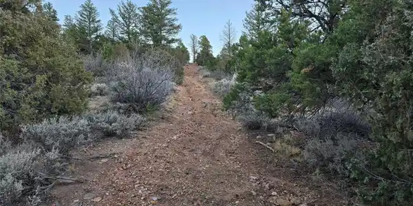 Image 3 Image 3