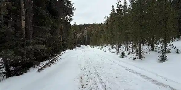 Image 3 Image 3