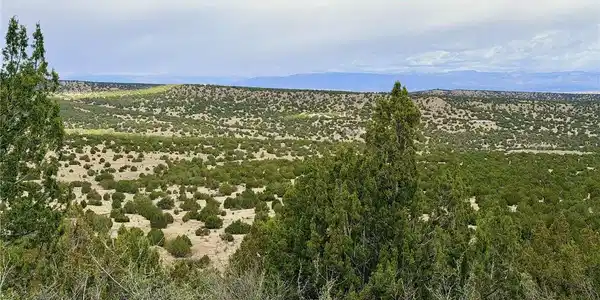 Image 2: View Looking North Image 2: View Looking North