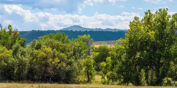 Image 2: Mountain views and wide open spaces off back deck Image 2: Mountain views and wide open spaces off back deck