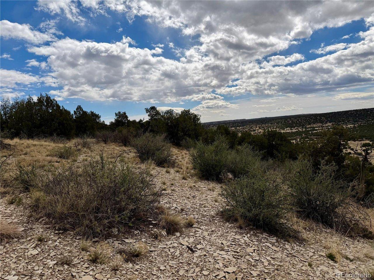 Image 4: View Looking South Image 4: View Looking South