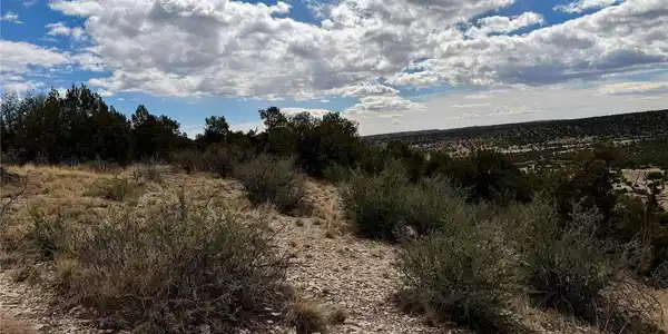Image 4: View Looking South Image 4: View Looking South