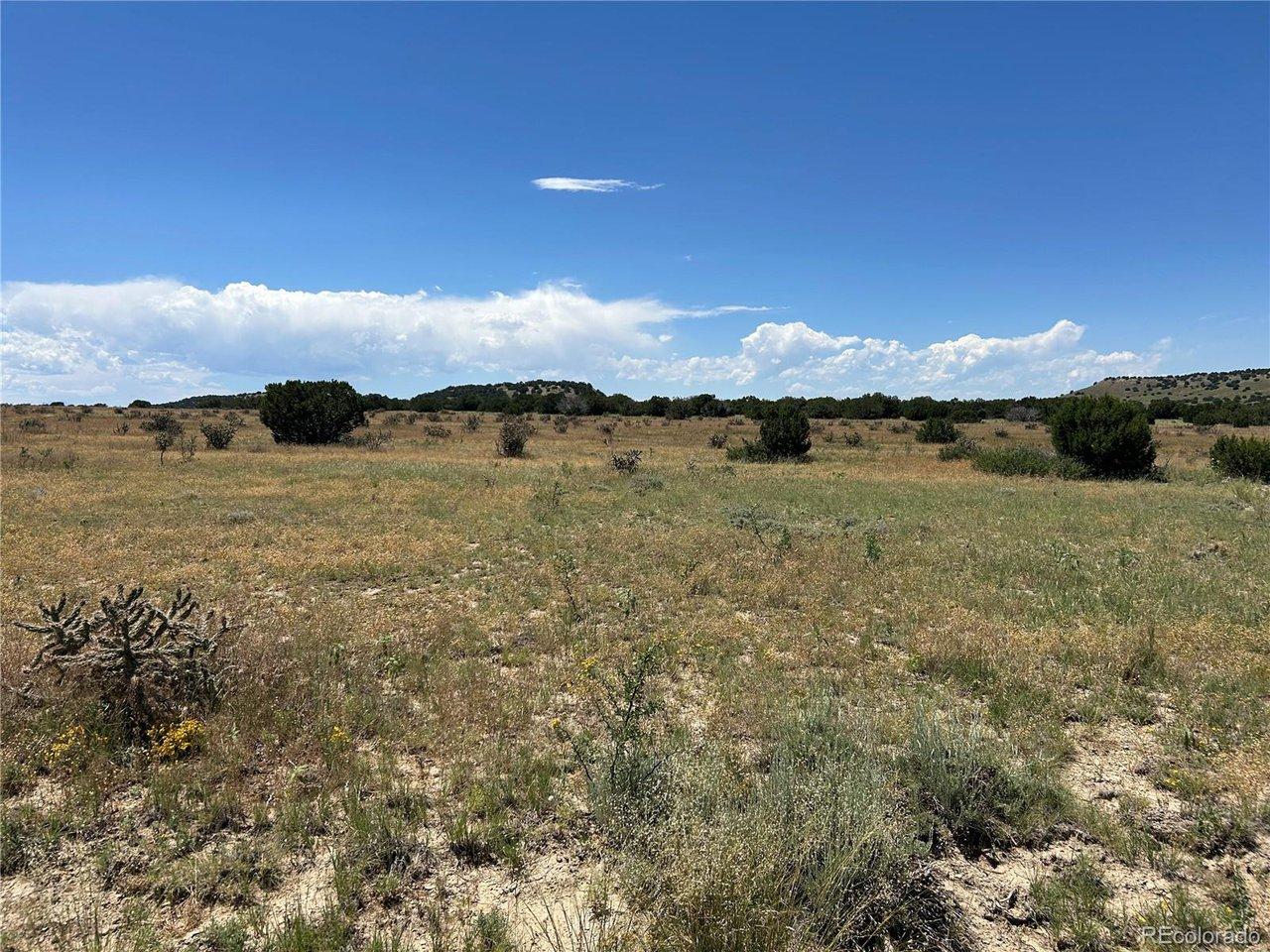 Image 4 Image 4