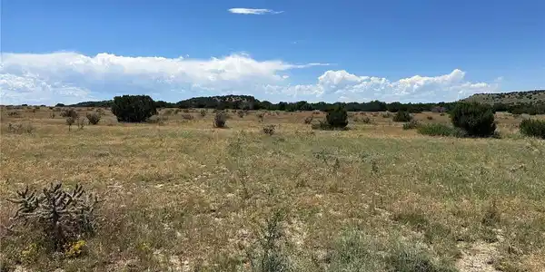 Image 4 Image 4