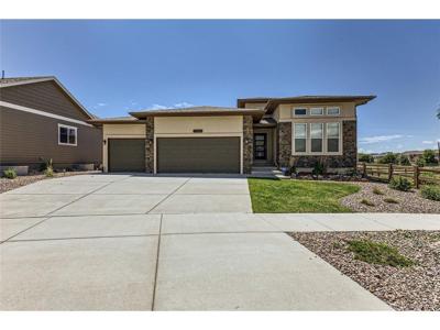 6839 Black Saddle Dr