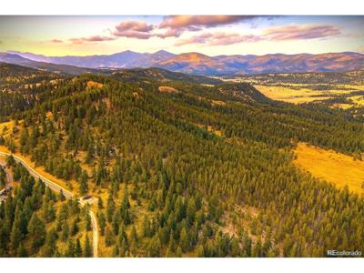 32553 Lodgepole Cir