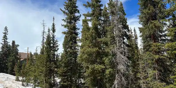 Image 3 Image 3