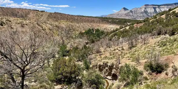 2 County Road 300