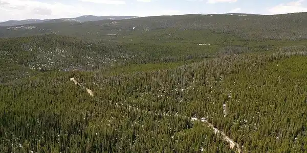 Image 2: Pearl Beaver Rd with driveway off on the right