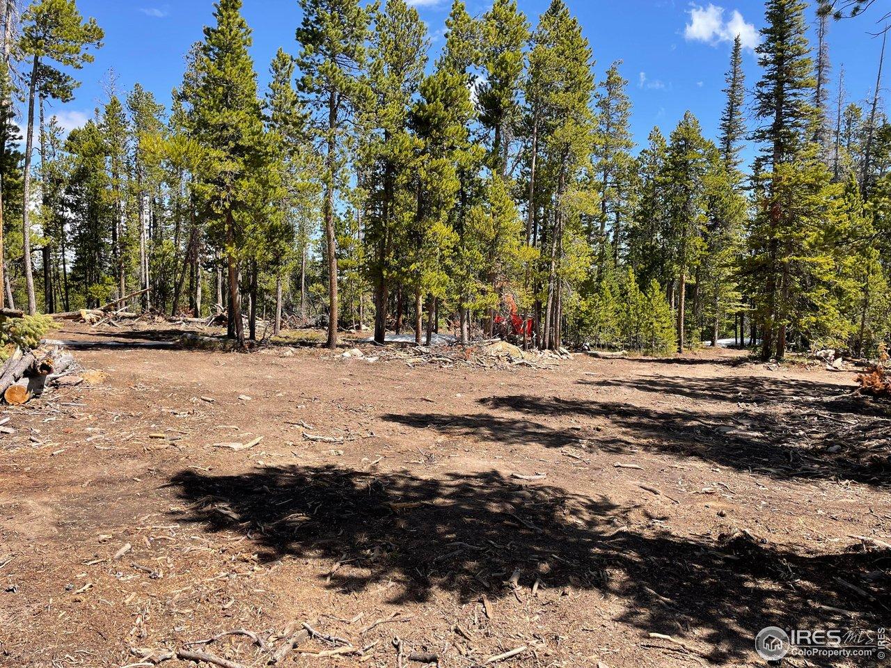 Image 3: Cleared space to build or camp Image 3: Cleared space to build or camp