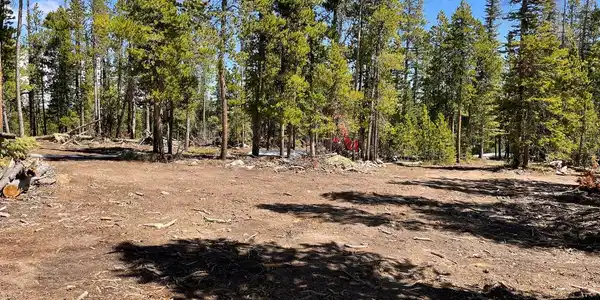 Image 3: Cleared space to build or camp