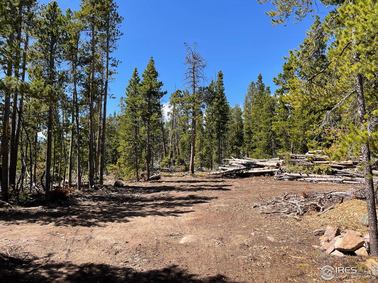 Image 4: Cleared space to build or camp Image 4: Cleared space to build or camp
