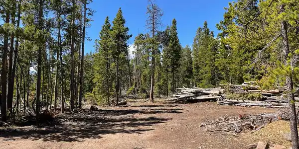 Image 4: Cleared space to build or camp