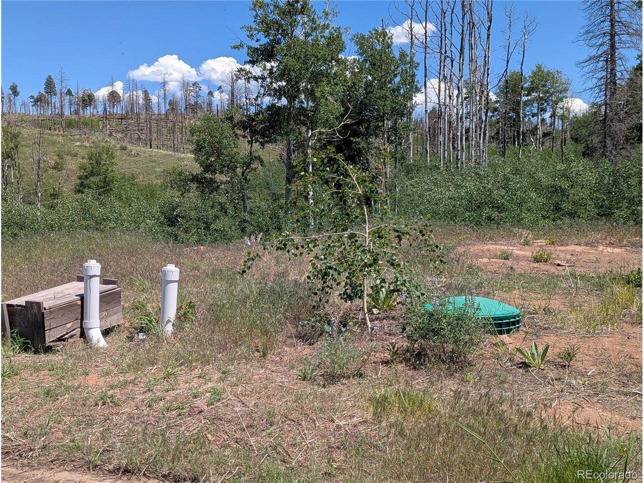 Image 4 Image 4