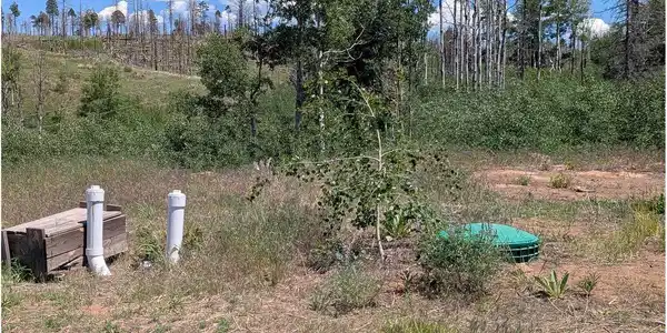 Image 4 Image 4