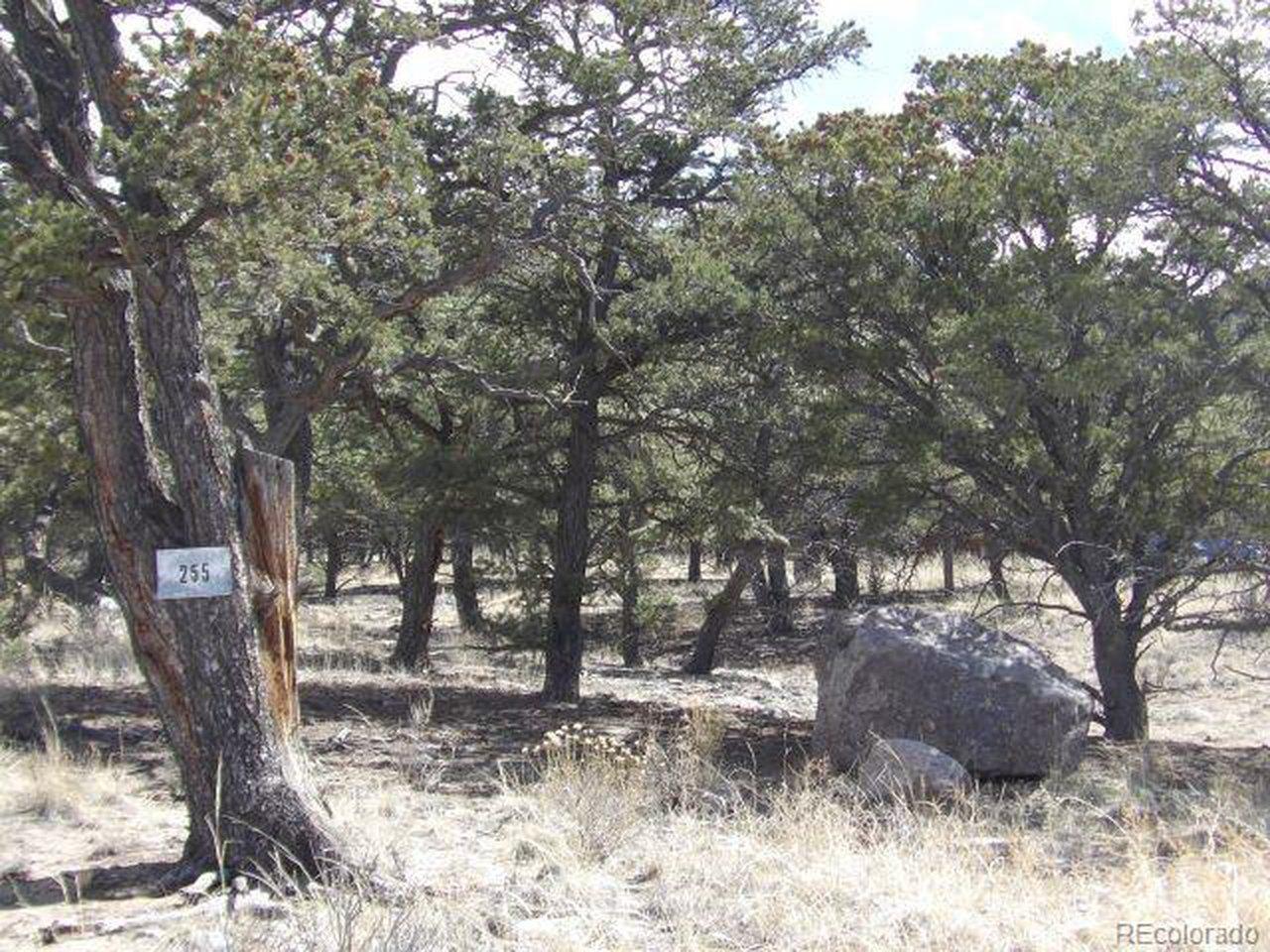 Image 3 Image 3