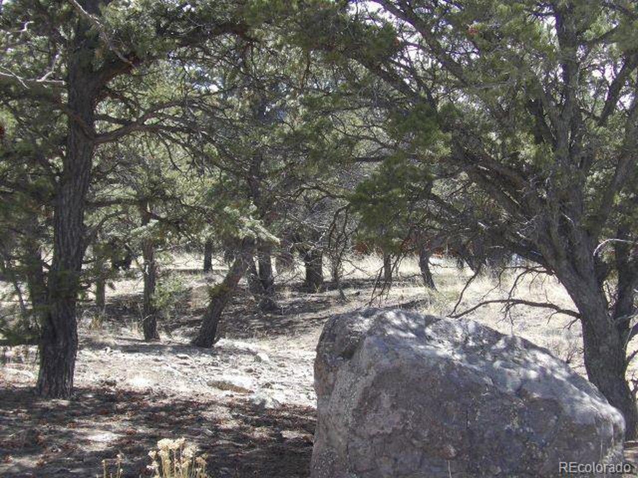 Image 4 Image 4
