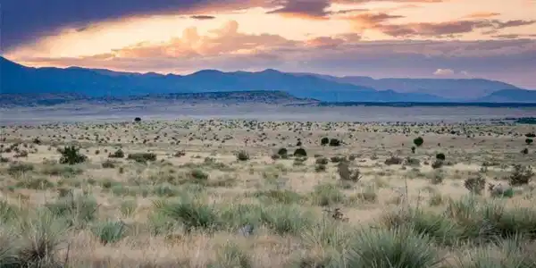 232 Turkey Ridge Ranch