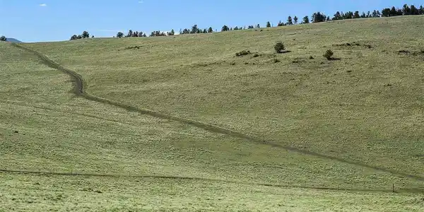 Image 2 Image 2