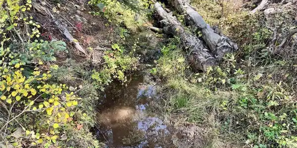 Image 2: stream Image 2: stream