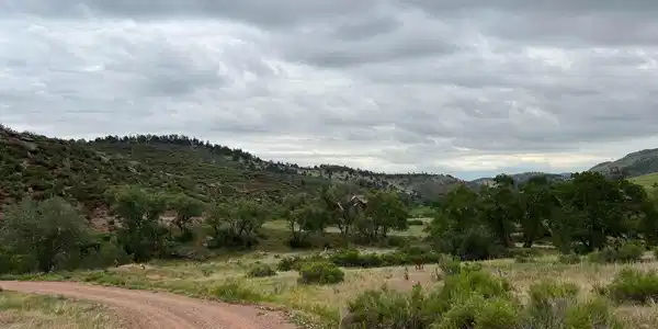 Image 2: Road going to the property Image 2: Road going to the property