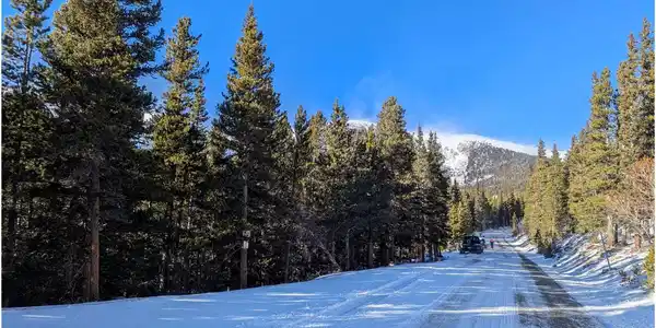 Crest Drive