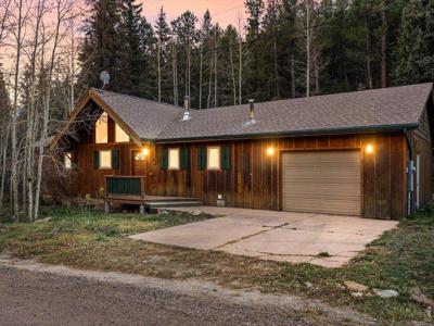1035 Streamside Dr