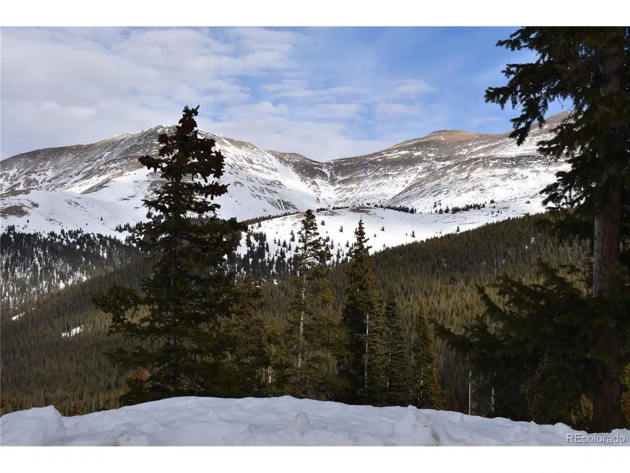 Image 1 Image 1
