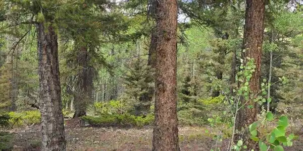 Image 2 Image 2