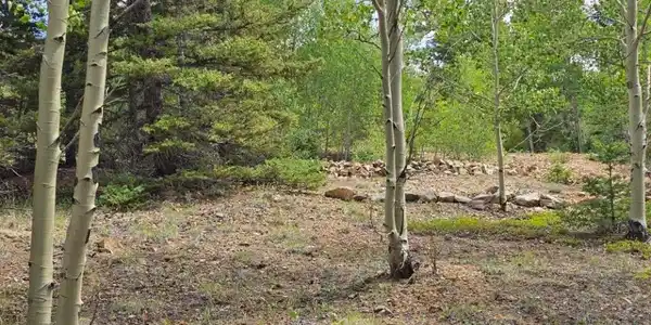 Image 3 Image 3
