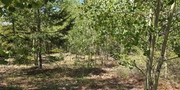 Image 4 Image 4