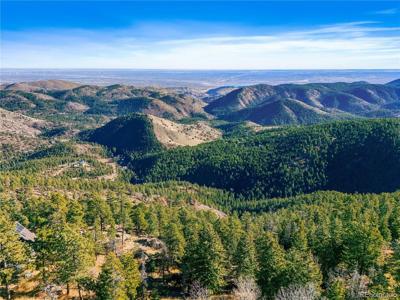 10256 Horizon View Dr