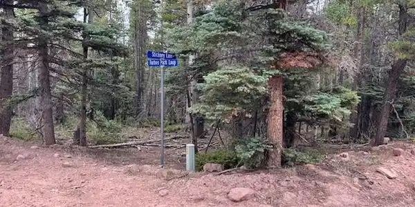Image 4 Image 4