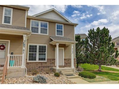 2199 Squawbush Ridge Grv