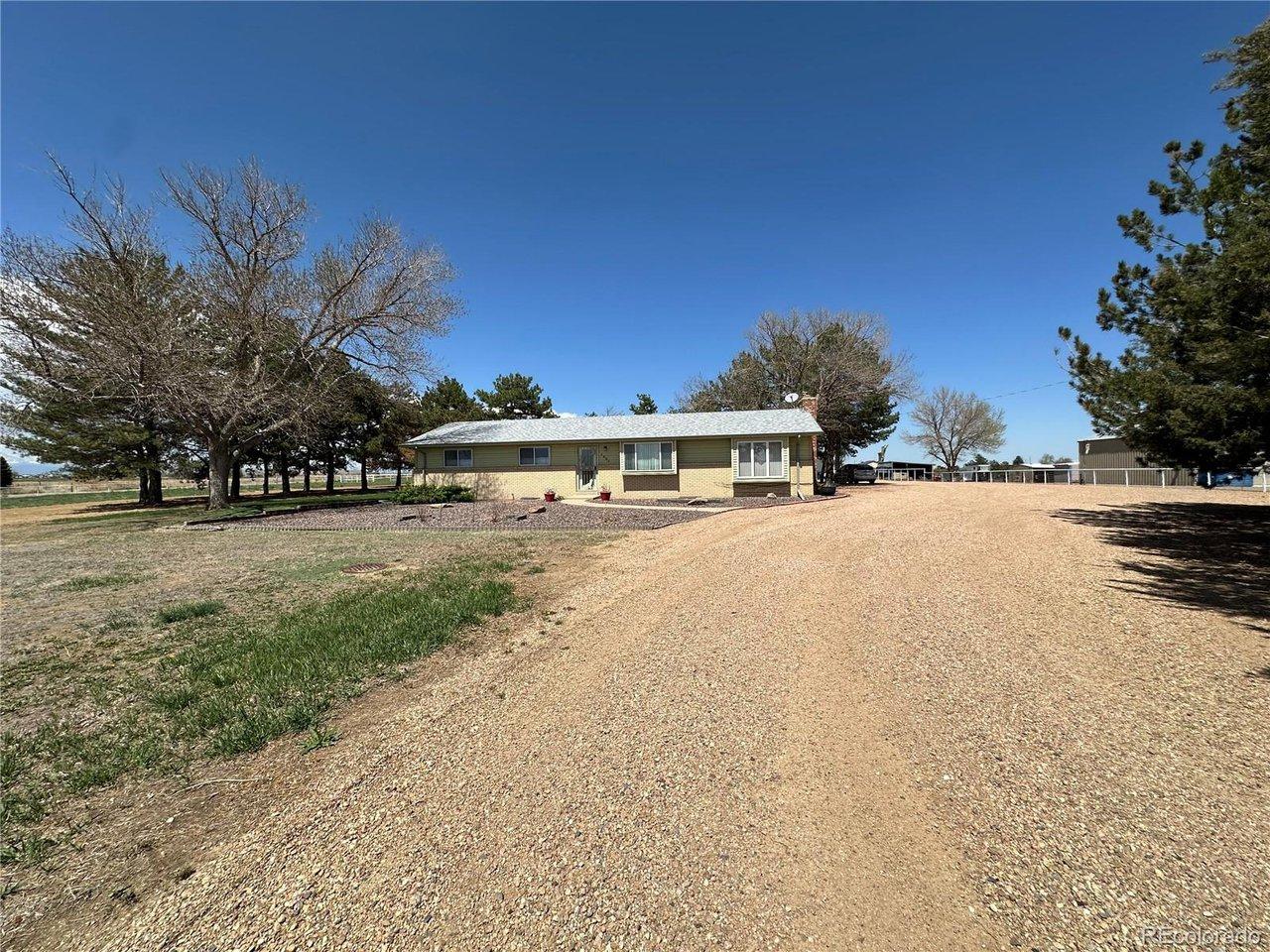 Image 4 Image 4