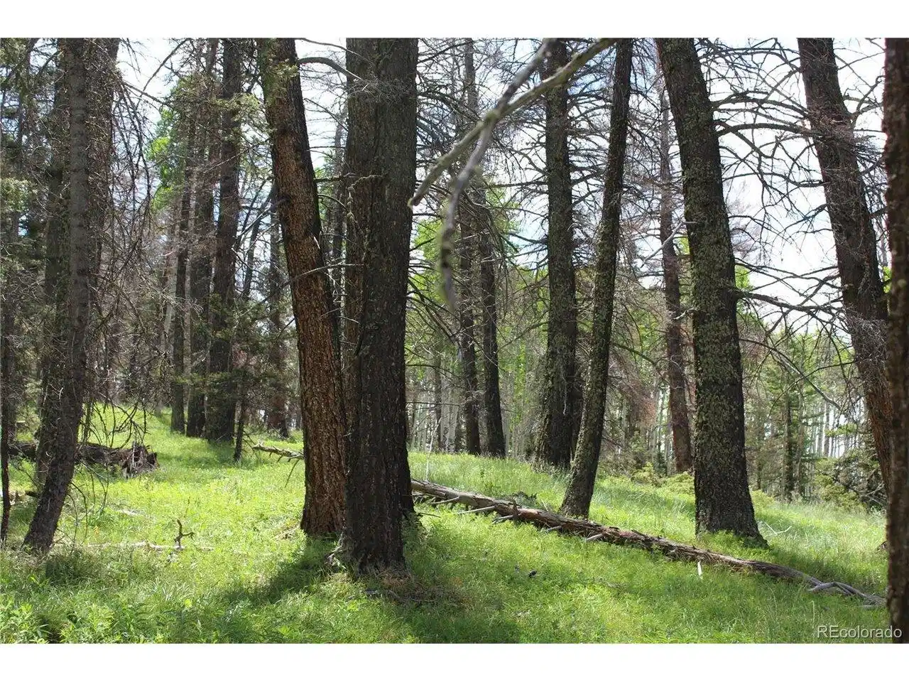 Image 1 Image 1
