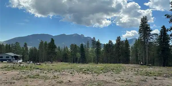 Image 2: Expansive Build Site - already cleared in center/upper portion of the 3 acres (combined lots).