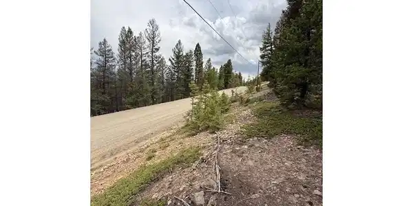 Image 4 Image 4