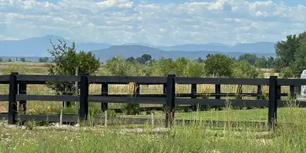 Image 2: Unobstructed Mountain and Foothills view from the back of the lot Image 2: Unobstructed Mountain and Foothills view from the back of the lot