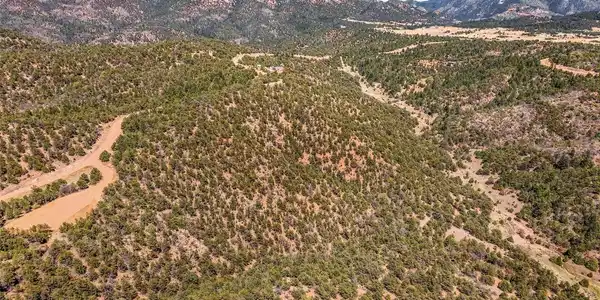 Image 4 Image 4
