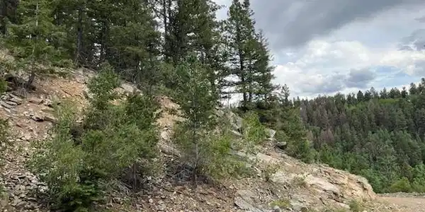 Image 4 Image 4