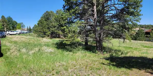 Image 3 Image 3