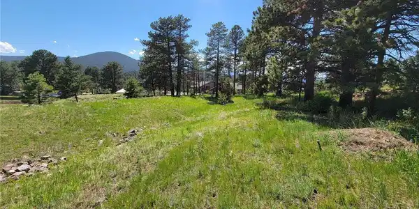 Image 4 Image 4